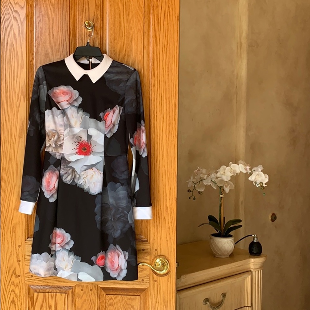 Ted Baker London Dress